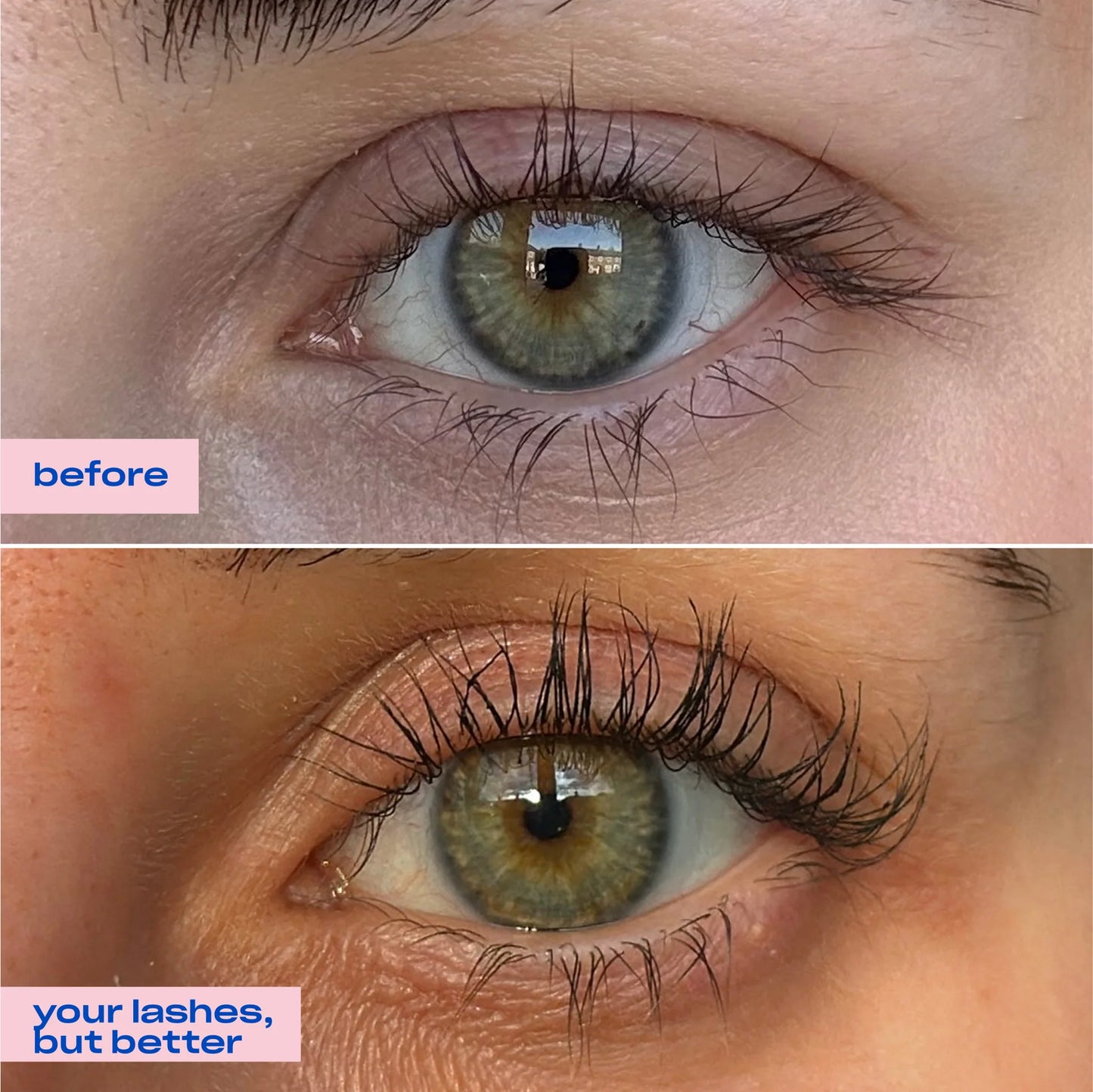 Camile Lash Growth Serum